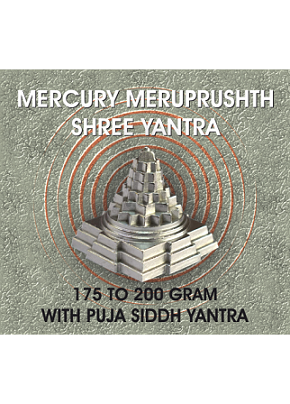 Parad Shree Yantra With Pooja